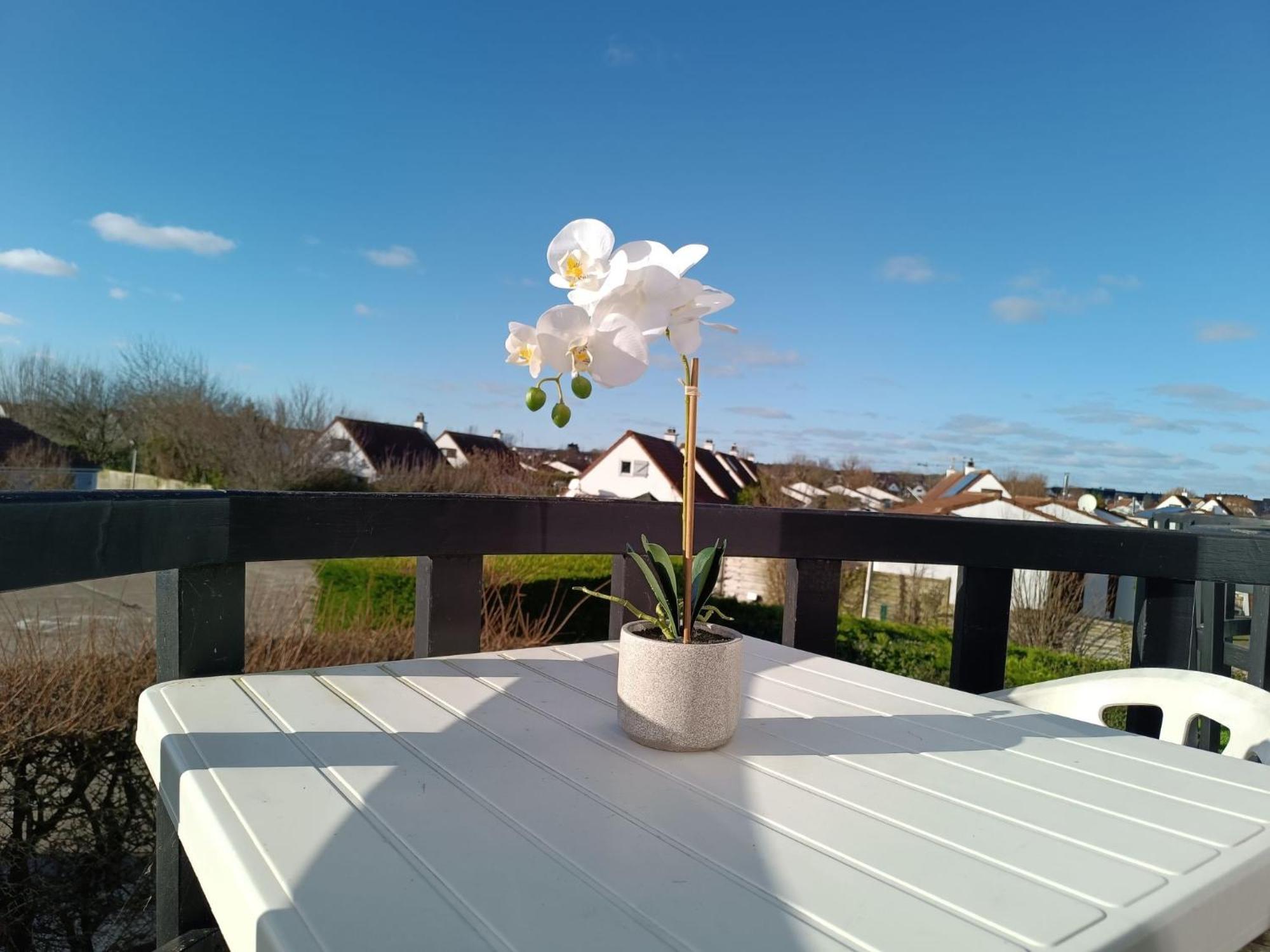 Apartment Luna By Interhome De Haan Exterior photo
